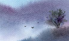 结婚上门是什么意思 上门女婿需要给彩礼吗