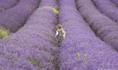 一眼惊艳的古风名字2023年最新版