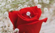 2023年农历正月二十四适宜结婚吗 今日成婚吉利不