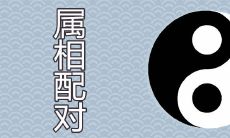 一家四口什么属相配对最好