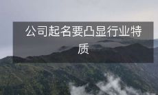 公司起名要凸显行业特质