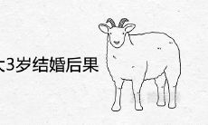 属羊的比属狗大3岁结婚后果会白头到老吗
