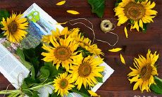 此命推来福不轻 四两九钱命运详解