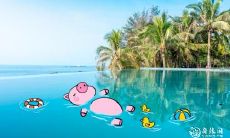 属猪和属蛇的可以在一起干活吗 性格合不合