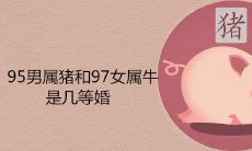 95男属猪和97女属牛是几等婚