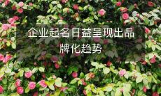 企业起名日益呈现出品牌化趋势