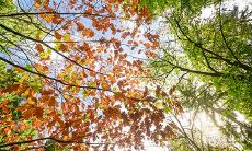 92年12月28日是什么命 农历十二月初五出生命运