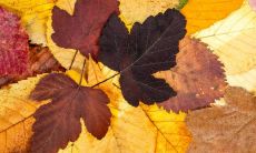 2023年属兔的是什么命呢 癸为水卯为兔的水兔命