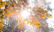 92年12月27日是什么命 农历十二月初四出生命运