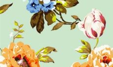 2023年生肖运势详解(最新完整版)：生肖鸡2月运势发展情况