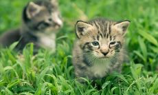 新店开业时下雨是好是坏 新店开业几点最好