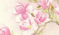 2023年3月7日有哪些特吉生肖十二生肖运势排行