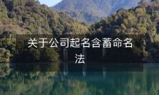 关于公司起名含蓄命名法
