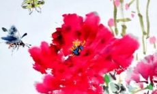 2023年兔本命年可以过生日吗 佩戴什么可以转运