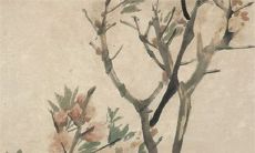 今日特吉生肖：2023年3月14日生肖运势盘点