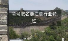 商号取名要注意行业特性