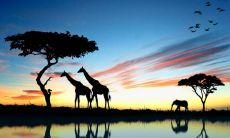 太阳巨蟹月亮双子性格特点 优缺点解析