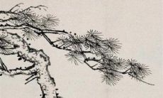 十二生肖小运播报:2023年3月11日特吉生肖一览表