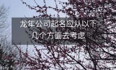 龙年公司起名应从以下几个方面去考虑