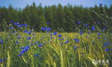 92年6月18日是什么命 农历五月十八出生命运