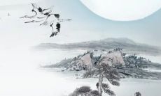 2023年正月二十一出生的女宝宝命好吗 父母宠爱生活无忧