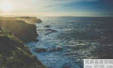 养哪些风水鱼最招财 金鱼 锦鱼 龙鱼