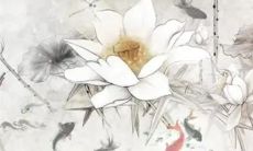 八字解析：2023年2月19日雨水出生的宝宝是什么命，五行缺什么