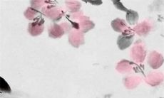 生辰八字解析：2023年2月18日出生的宝宝是什么命，五行缺什么