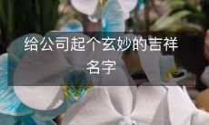 给公司起个玄妙的吉祥名字