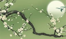 2023兔年正月二十一出生的宝宝命运 偏好投机贵人扶持