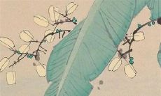 2023年正月二十二出生的男宝宝是什么命 身体康健福泽深远