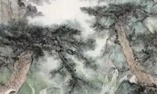 生辰八字解析：2023年2月20日出生的宝宝是什么命，五行缺什么