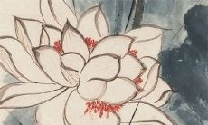 2023兔年正月二十四出生的属兔男孩八字命运查询 异性缘旺需要克制