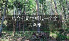结合公司性质起一个全吉名字