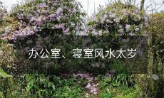 办公室、寝室风水太岁