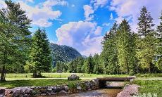 92年6月9日是什么命 农历五月初九出生命运