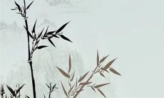 什么人七星袜不能穿 兔年穿什么颜色衣服旺财