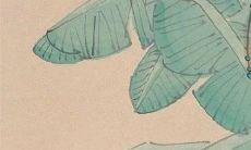 2023属猪的运势和财运 好坏参半更加努力