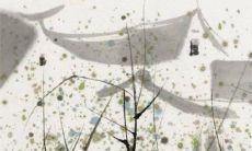 2023生肖猪有没有喜结良缘 步入婚姻白头偕老