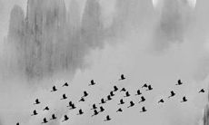 2023年2月26日属相运势与特吉生肖查询