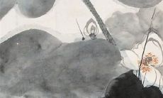 2023属猪人下半年运势 时来运转万事大吉