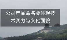 公司产品命名要体现技术实力与文化面貌