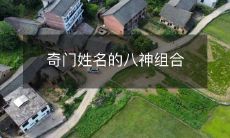 奇门姓名的八神组合