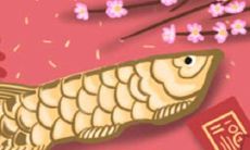 花语大全:紫盆花的花语及意义