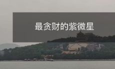 最贪财的紫微星