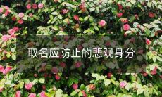 取名应防止的悲观身分