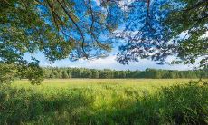 房子风水不好是什么样的