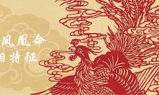 女人有凤凰命和贵人命的说法吗 有哪些面相特征