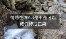 情感在2013是不是可以或许修成正果
