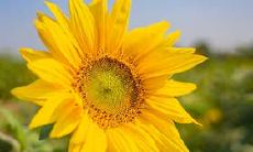 2022年只要努力学业上就会有所回报的星座是谁